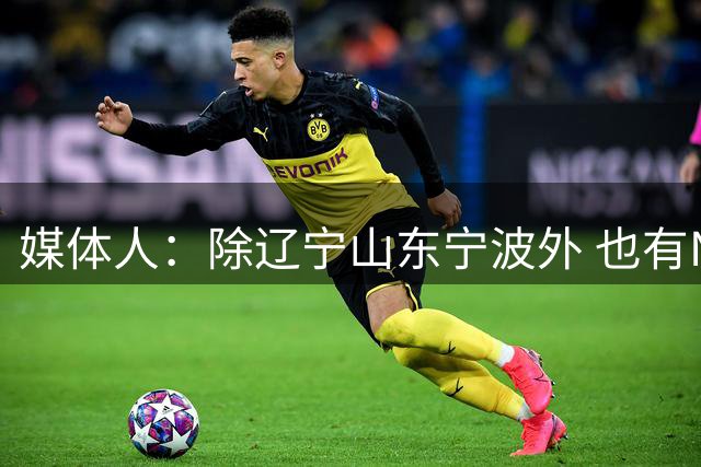 媒体人：除辽宁山东宁波外 也有NBL球队询价段睿骐&险些达成协议